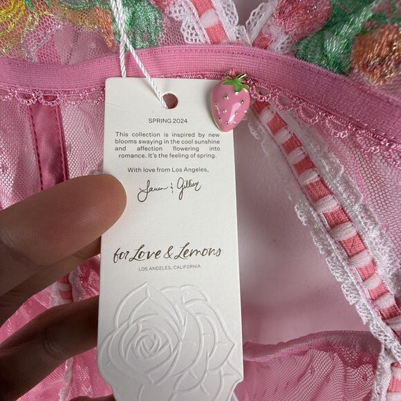 For Love & Lemons x Victoria Secret Sheer Pink Babydoll Dress | Spring 2024 - Picture 5 of 9